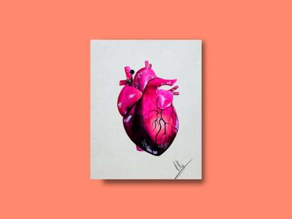Anatomisch korrektes Herz in Pink- und Violetttönen auf hellem Hintergrund - Kunstdruck von Jasmin Moody