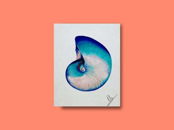 Druck einer spiralförmigen Muschel mit türkisen, blauen und rosafarbenen Nuancen – Kunstwerk von Nia Moody