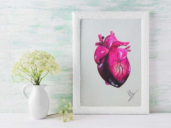 Anatomisch korrektes Herz in Pink- und Violetttönen auf hellem Hintergrund - Kunstdruck von Jasmin Moody7