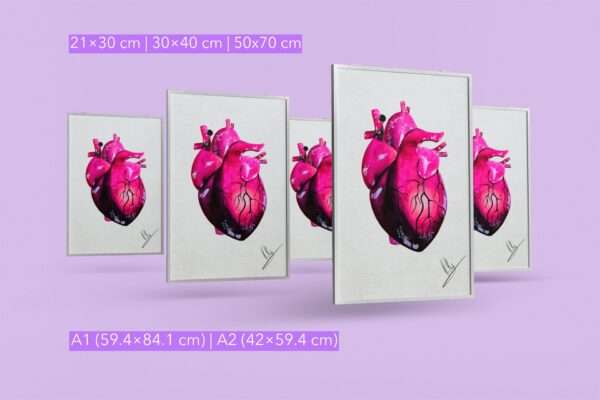 Anatomisch korrektes Herz in Pink- und Violetttönen auf hellem Hintergrund - Kunstdruck von Jasmin Moody6