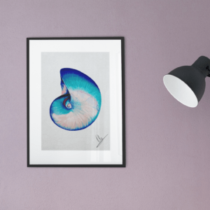 Druck einer spiralförmigen Muschel mit türkisen, blauen und rosafarbenen Nuancen – Kunstwerk von Nia Moody6
